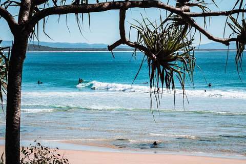 Sunshine Coast Hinterland And Noosa Day Trip From Brisbane Including Eumundi Markets And Ginger Factory - Find Attractions 5