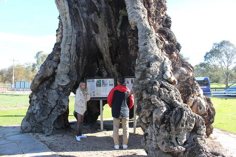 Barossa And Hahndorf Day Trip From Adelaide Including Wine Tasting And Lunch - Find Attractions 1