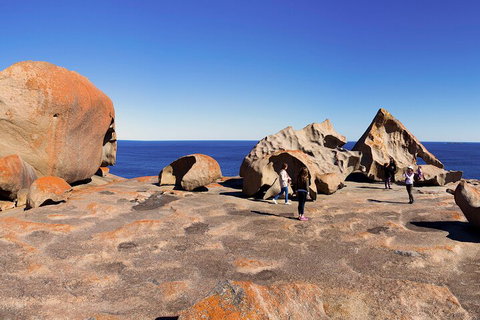 Full-Day Kangaroo Island Experience Departing From Kangaroo Island - Find Attractions 4