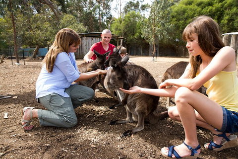 Full-Day Kangaroo Island Experience Departing From Kangaroo Island - Find Attractions 5