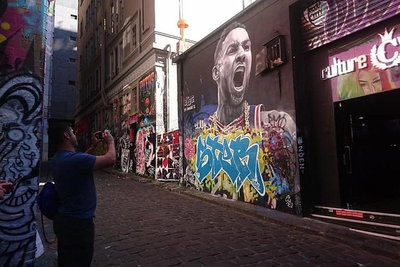 Melbourne City Tour and Half Day Yarra Valley in One Day