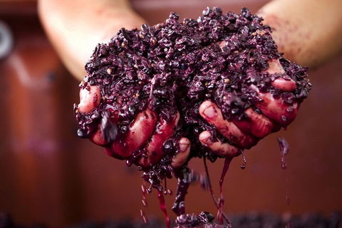 CHEVY CONVERTIBLE Package For 4 -Wine Lunch Cheese & Chocolate From Yarra Valley - Find Attractions 5