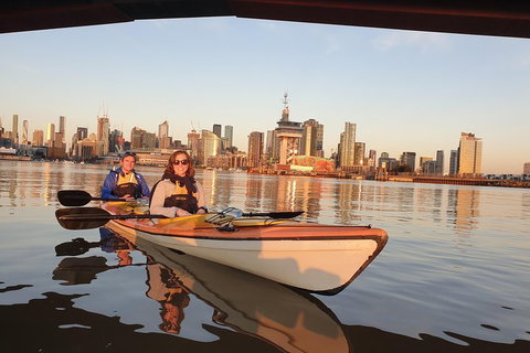Melbourne Sunset Kayaking Experience With Dinner - Find Attractions 3