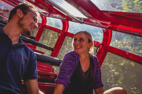 Blue Mountains Hop-on Hop-off Tour With Optional Scenic World Rides - Find Attractions 5
