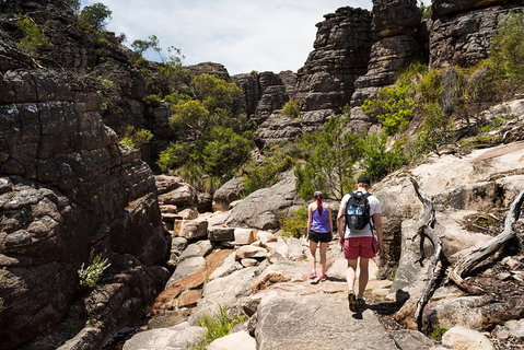 Grampians National Park With Kangaroos And MacKenzie Falls From Melbourne - Find Attractions 3