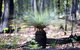 Grampians National Park With Kangaroos And MacKenzie Falls From Melbourne - thumb 5