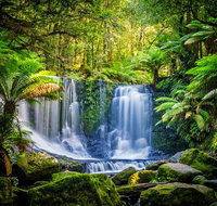 Day Tour in Mt. Field Mt. Wellington Bonorong Wildlife Sanctuary and Richmond - Find Attractions