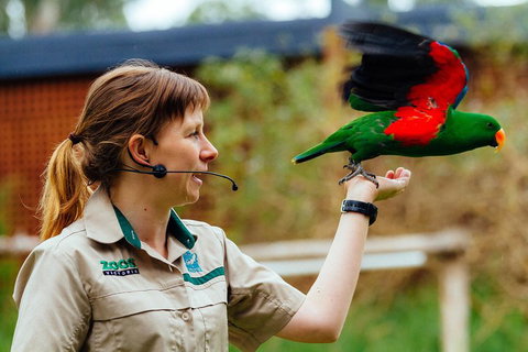 VIP Sanctuary Tour At Healesville Sanctuary Ticket - Find Attractions 0