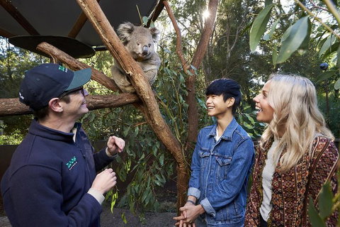 VIP Sanctuary Tour At Healesville Sanctuary Ticket - Find Attractions 1