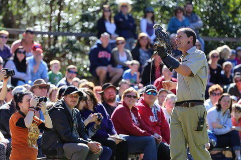 VIP Sanctuary Tour At Healesville Sanctuary Ticket - Find Attractions 4