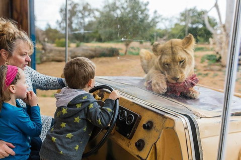 Werribee Open Range Zoo General Admission Ticket - Find Attractions 4
