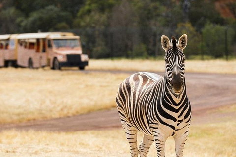 Werribee Open Range Zoo General Admission Ticket - Find Attractions 5