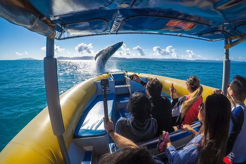 Ocean Rafting Tour To Whitehaven Beach, Hill Inlet Lookout & Top Snorkel Spots - Find Attractions 4