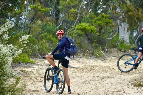 Blue Mountains Hanging Rock SELF-GUIDED Mountain Bike Hire Service - Find Attractions 4