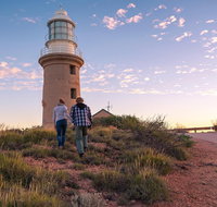 6-Day Coral Coaster from Perth to Exmouth One-Way via Monkey Mia Ningaloo Reef - Find Attractions