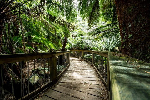 Melbourne To Adelaide South East Coast 3 Day Overland Tour - Find Attractions 1