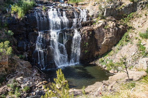 Small-Group Grampians Great Wilderness Escape Day Trip With Hiking - Find Attractions 0
