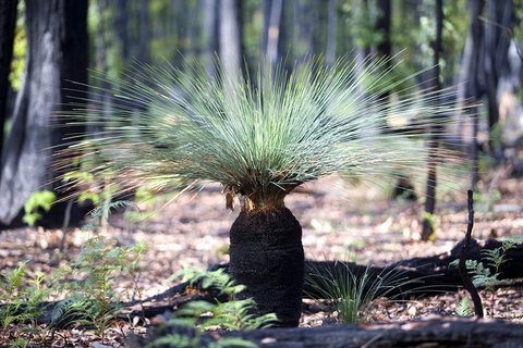 Small-Group Grampians Great Wilderness Escape Day Trip With Hiking - Find Attractions 2