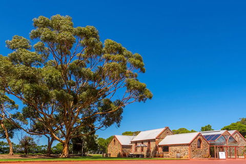 McLaren Vale And Glenelg Wine Tasting And Sightseeing (Half-day Afternoon) - Find Attractions 5