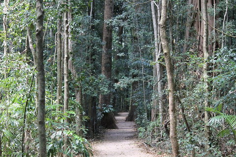 Eumundi Markets And Sunshine Coast Day Trip From Brisbane - Find Attractions 4