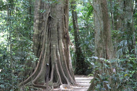 Noosa And Sunshine Coast Hinterland Day Trip From Brisbane - Find Attractions 3