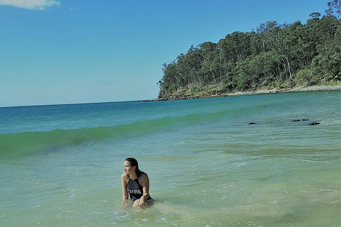 Noosa And Sunshine Coast Hinterland Day Trip From Brisbane - Find Attractions 4