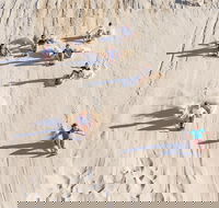 Unlimited Sandboarding - Find Attractions