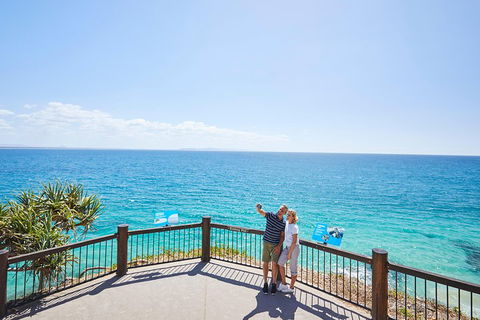 Noosa Everglades Serenity Cruise & Highlights Tour Inc. Lunch & Cruise - Find Attractions 3