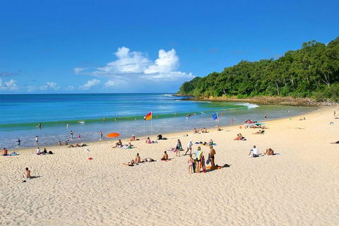 Noosa Everglades Serenity Cruise & Highlights Tour Inc. Lunch & Cruise - Find Attractions 4
