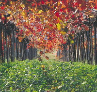 Margaret River Private Tour - Find Attractions