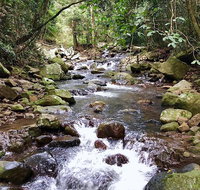 Springbrook Full Day Tour - Find Attractions