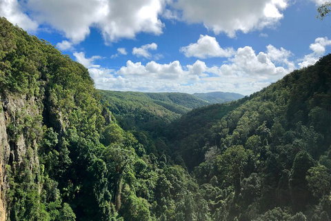 Springbrook Full Day Tour - Find Attractions 1