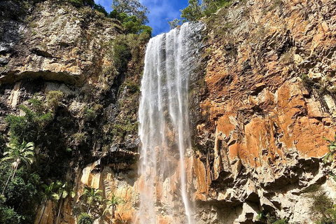 Springbrook Full Day Tour - Find Attractions 2