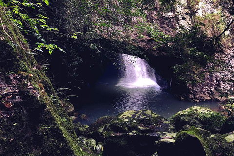 Springbrook Full Day Tour - Find Attractions 3