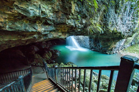 Springbrook Full Day Tour - Find Attractions 4