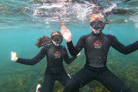 Manly Snorkel Trip And Nature Walk With Local Guide - Find Attractions 3