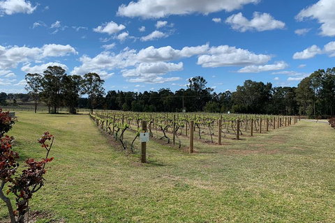 Private Day Trip To Hunter Valley From Sydney With Pickup - Find Attractions 3