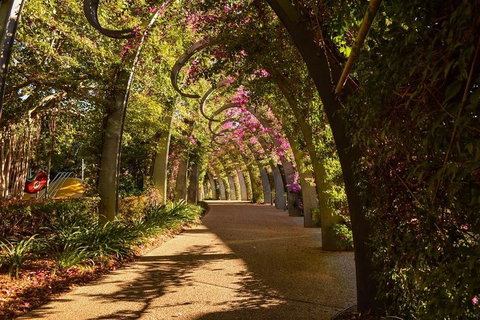 Brisbane Scavenger Hunt: Brisbane's South Bank! - Find Attractions 3