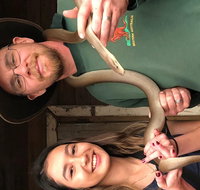 Perth Hills - Wildlife Art  Gastronomy - Find Attractions