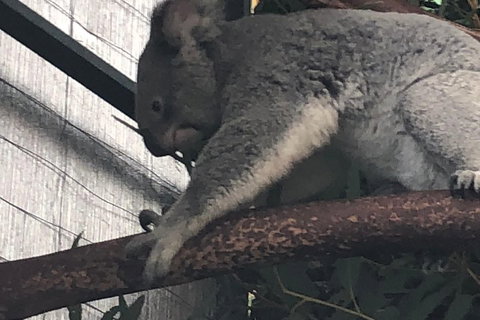 Perth Hills - Wildlife, Art & Gastronomy - Find Attractions 3