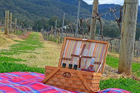 Private Hunter Valley And Gardens Day Trip From Sydney - Find Attractions 2