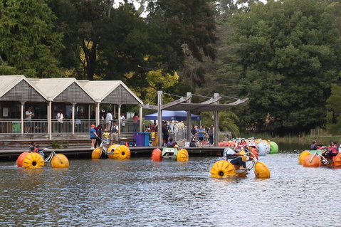Yarra Valley, Dandenong Ranges Inc. Lunch With Wine,plus Morning Tea,chocolate - Find Attractions 1