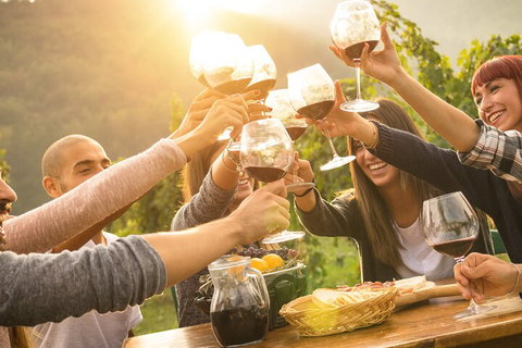 Yarra Valley, Dandenong Ranges Inc. Lunch With Wine,plus Morning Tea,chocolate - Find Attractions 4