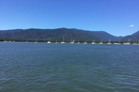 Cairns City Tour - Find Attractions 3