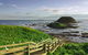 Full-Day Private Australian Wildlife Tour Of Phillip Island - thumb 0