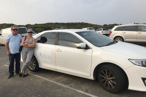 Full-Day Private Australian Wildlife Tour Of Phillip Island - Find Attractions 1
