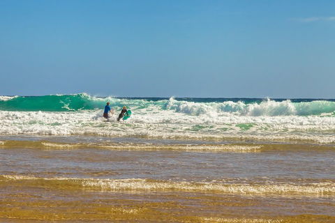Full-Day Private Australian Wildlife Tour Of Phillip Island - Find Attractions 3