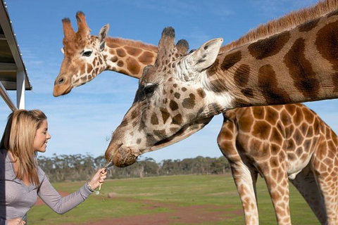 Melbourne City Card (2 Days): Visit Unlimited Attractions! - Find Attractions 1