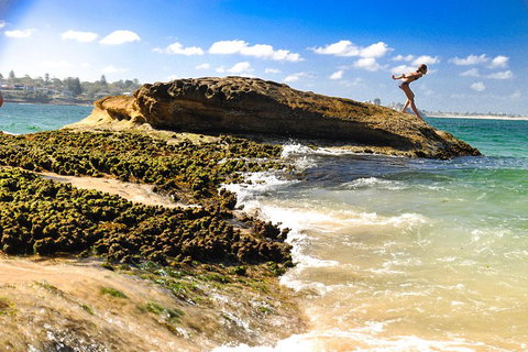 Kiama South Coast Tour With Coastline, Farmlands, Aboriginal Engravings & Lunch - Find Attractions 4
