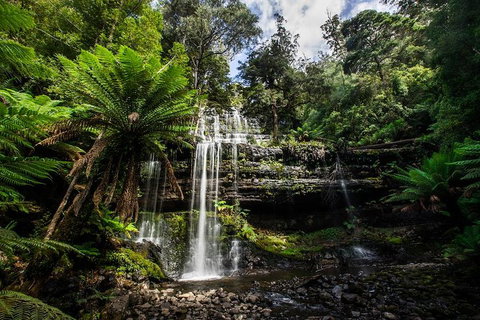 3-Day Tour To The Falls, Mountains, Lake & More Of West Coast Tasmania - Find Attractions 4